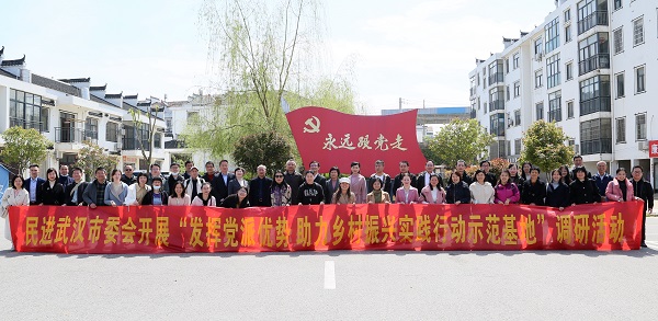 新洲调研