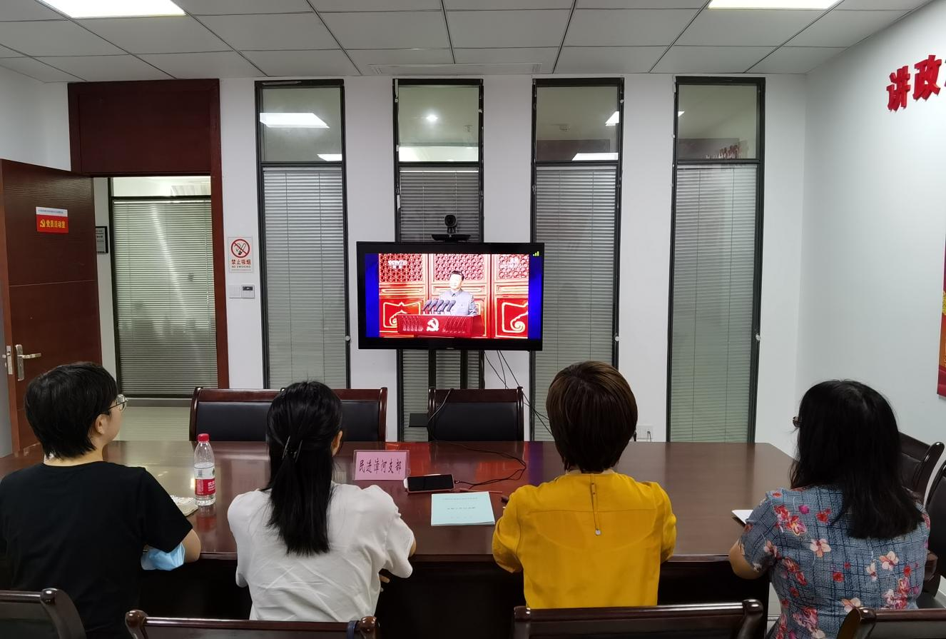 漳河新区集中收看建党100周年庆祝大会